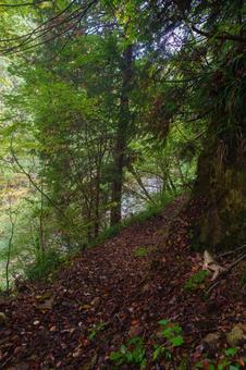 登山道 登山道 登山,登山道,山道の写真素材