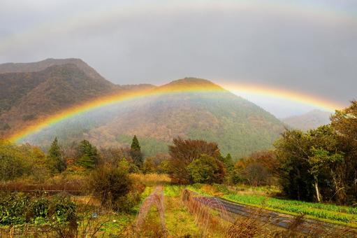 虹⑼ 虹,七色,山の写真素材