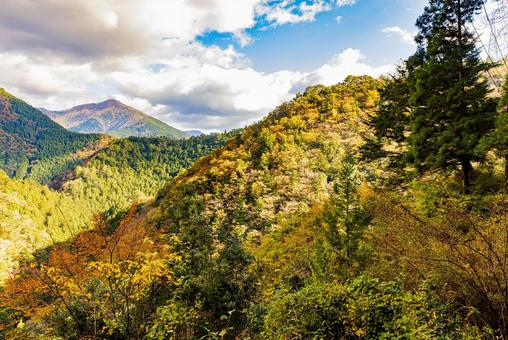静岡県 寸又峡の秋景色 静岡県 寸又峡の秋景色 寸又峡,夢の吊橋,紅葉の写真素材