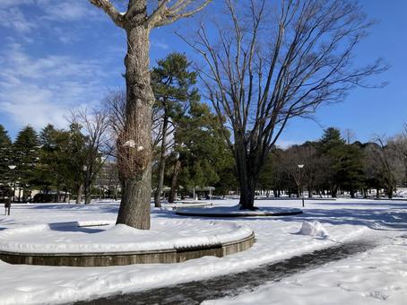 雪の公園 雪の公園 公園,雪景色,雪の写真素材