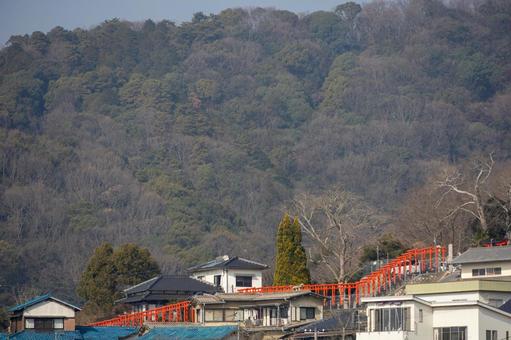 赤い鳥居が連なる景色 赤い鳥居が連なる景色 三原城,三原城跡,天主台跡の写真素材