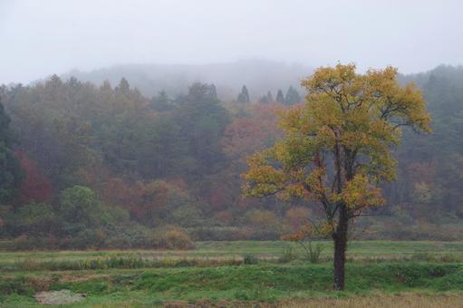 秋の野山の写真