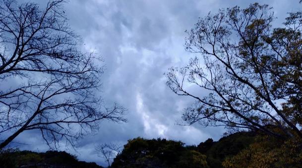 曇り空 曇り空の写真