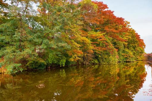 秋田市の千秋公園の秋景色 秋田市の千秋公園の秋景色の写真