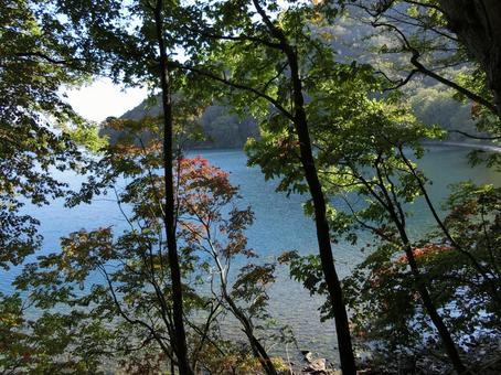 洞爺湖の中島の山林 自然,背景,山道の写真素材