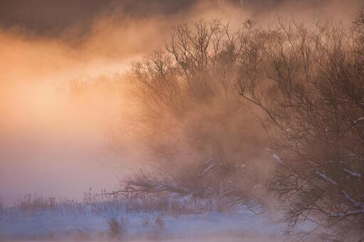音羽橋 音羽橋,冬,気嵐の写真素材