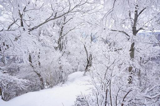 鳥取大山の冬登山22　雪山素材　風景 雪山,登山,危険の写真素材
