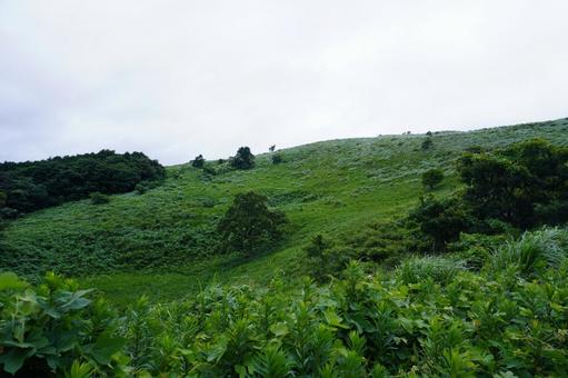 曇天の平尾台の風景 曇天の平尾台の風景の写真