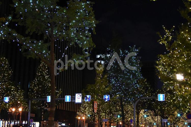 2024御堂筋イルミネーション 御堂筋,イルミネーション,夜景の写真素材