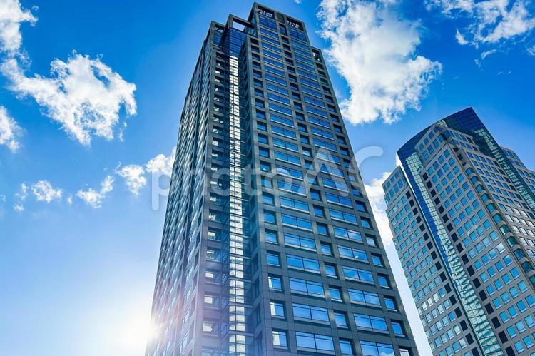 陽射しを受けて建つ横浜のモダンな高層ビル 高層ビル,陽射し,反射の写真素材