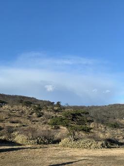 冬枯れの山肌と澄み渡る青空 冬景色,草原,丘陵の写真素材