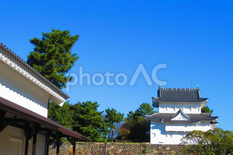 １１月中旬の日中の名古屋城 背景,名古屋城,城の写真素材