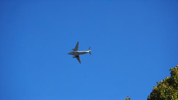 Blue sky, autumn sky, leaves that have begun to color, airplanes, Sayama city, parks, blue sky, autumn sky, sunny sky, JPG