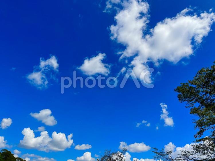 ふわふわ雲と青空、緑 空,雲,晴天の写真素材