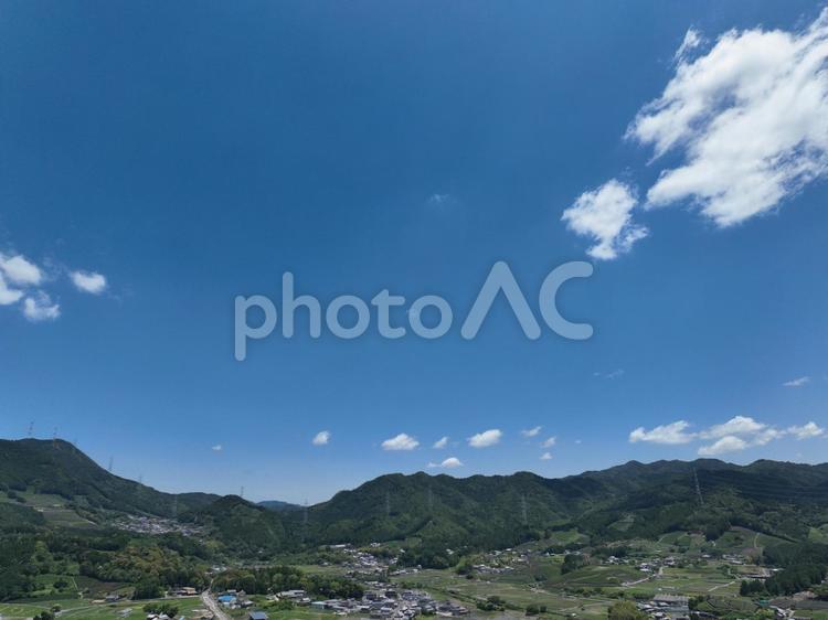 和束の茶畑ajt 自然,空,風景の写真素材
