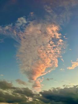 夕暮れの空に立ち上る黄昏色に染まる雲 空,夕暮れ,雲の写真素材