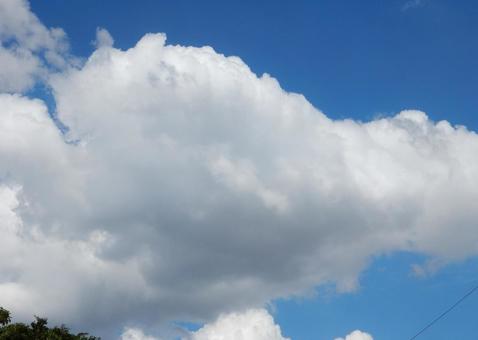 【風景写真】夏空 【風景写真】夏空の写真