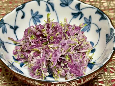 食用菊ラベンダーゆでた後 食用菊,もってのほか,菊の写真素材