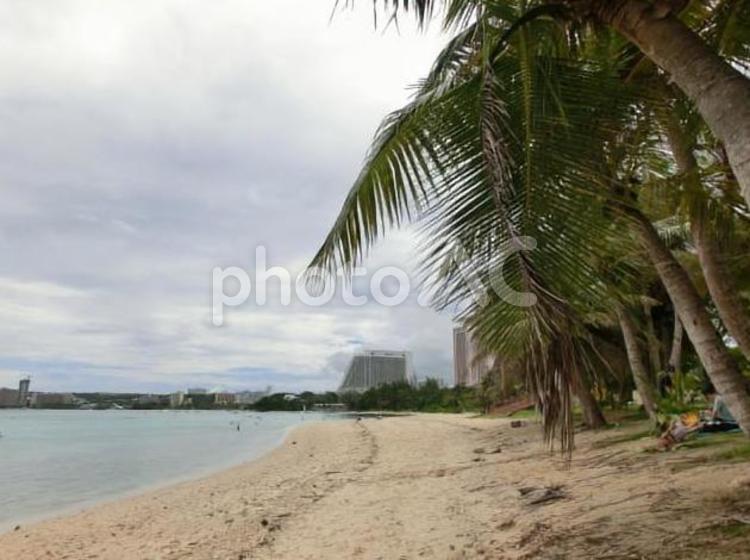 南国グアムの海と砂浜 海,砂浜,ヤシの写真素材