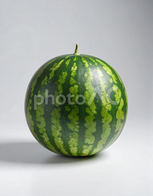 白い背景に一つのスイカ スイカ,自然,野菜の写真素材