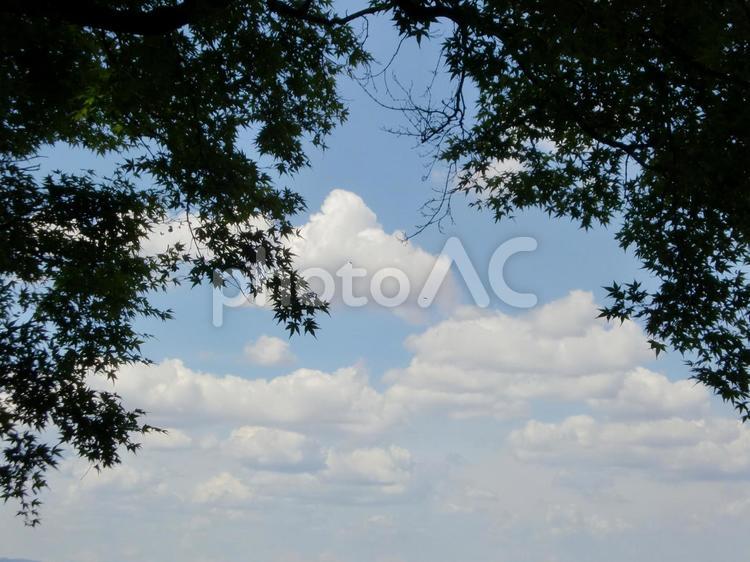 山の上からの景色 山の上からの風景,山の上からの景色,紅葉と７月中旬の空の写真素材
