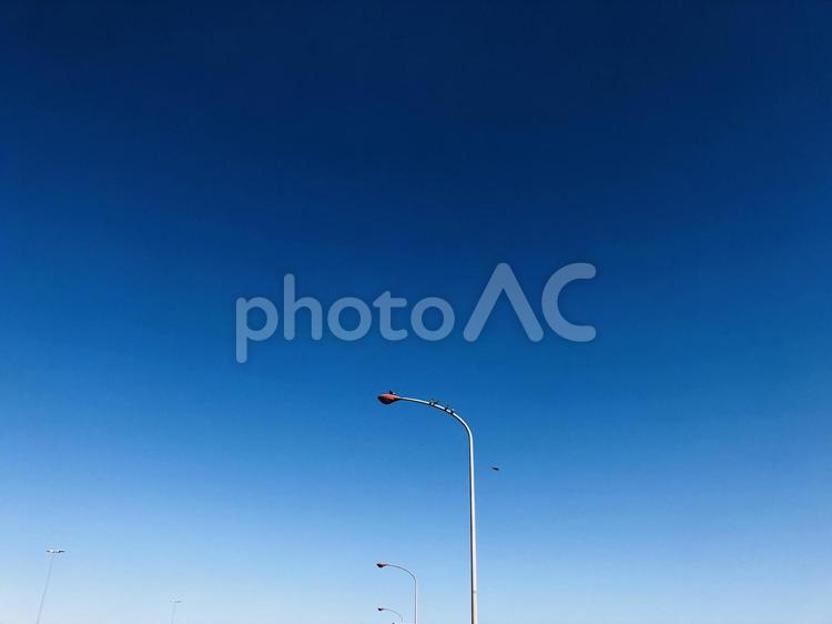 青空　街灯　ライト　鳥 青空,空,街灯の写真素材