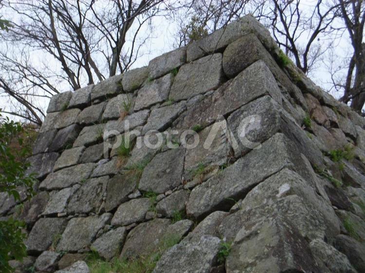 津城天守台 津城の写真素材