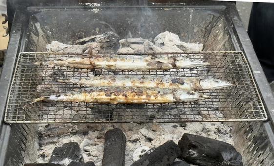 秋の魚 さんま バーベキューの炭焼き 秋の魚 さんま バーベキューの炭焼き さんま,秋刀魚,秋の写真素材
