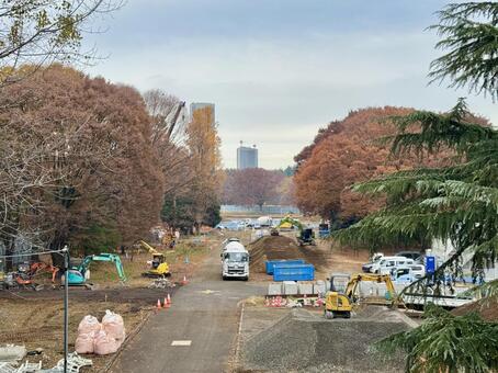代々木公園　工事現場 代々木公園,工事,工事中の写真素材