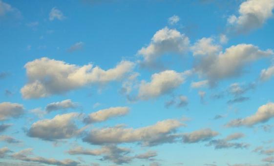 風に乗って 風に乗っての写真