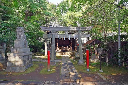 赤坂氷川神社(港) 赤坂氷川神社(港) 赤坂氷川神社,素戔嗚尊,奇稲田媛命の写真素材