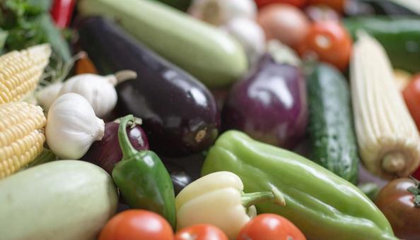 色とりどりの野菜 野菜集合 色とりどりの野菜 野菜集合の写真