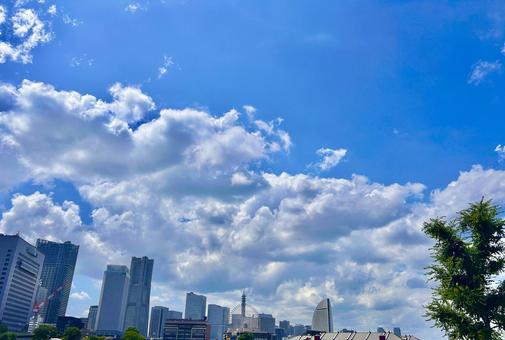 青空と横浜みなとみらいのビル群 青空と横浜みなとみらいのビル群の写真