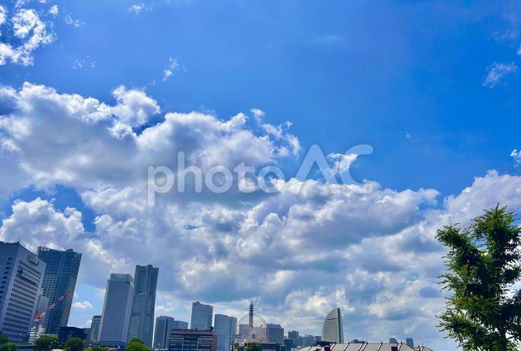 青空と横浜みなとみらいのビル群 スカイ,海,青空の写真素材