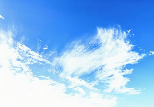 空と雲 空と雲の写真