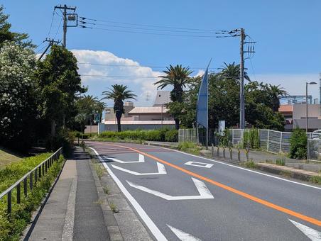 夏の海沿いの道 夏の海沿いの道の写真