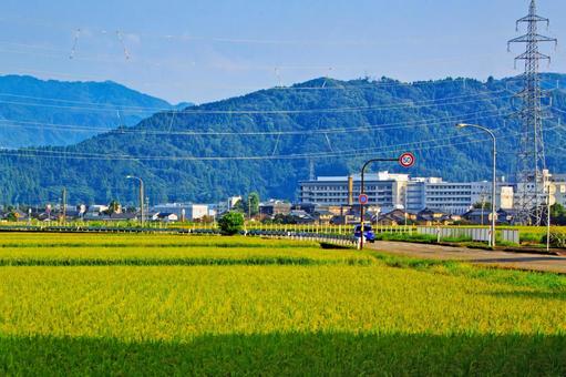 福井県吉田郡永平寺町松岡の風景 福井県吉田郡永平寺町松岡の風景 田んぼ,田園風景,風景の写真素材