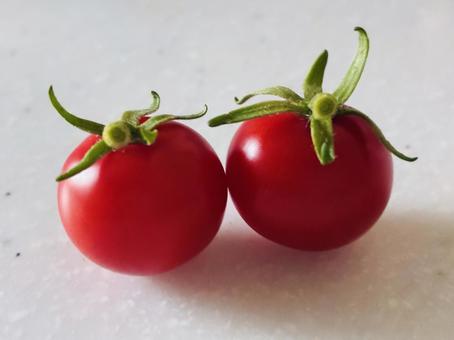 ミニトマト ミニトマト トマト,ミニトマト,野菜の写真素材