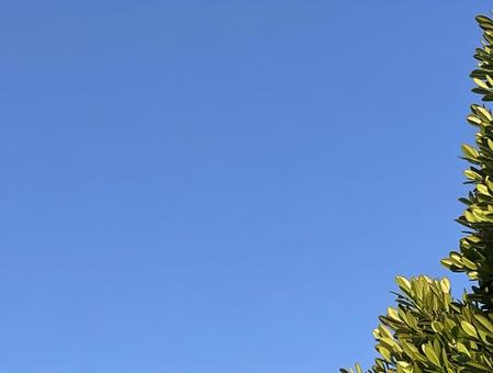 青空 青空 自然,緑,道端の写真素材