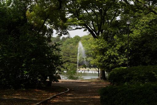 公園の噴水 公園の噴水の写真