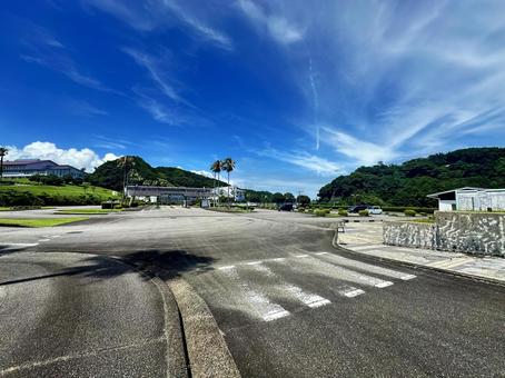 公園 夏の風景 公園 夏の風景の写真