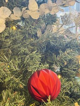 クリスマスツリー クリスマス,クリスマスツリー,ツリーの写真素材