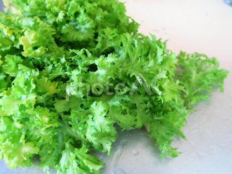 わさび菜 わさび菜,キッチン,クッキングの写真素材