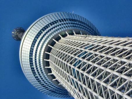 十二月の東京スカイツリー-17 十二月の東京スカイツリー-17 十二月,冬,東京スカイツリーの写真素材