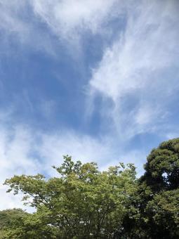 空5 空5の写真