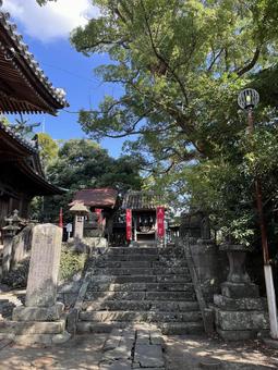 福島八幡宮 八女 福島八幡宮 八女 福岡県八女市,神社,青空の写真素材