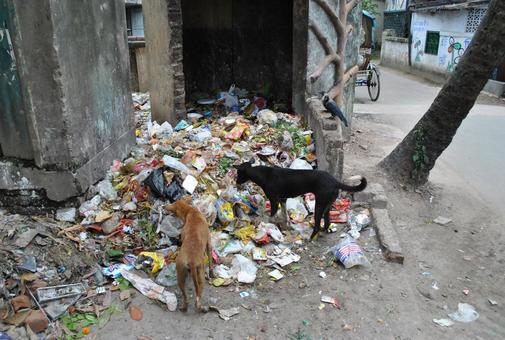 Indian Landscape, JPG