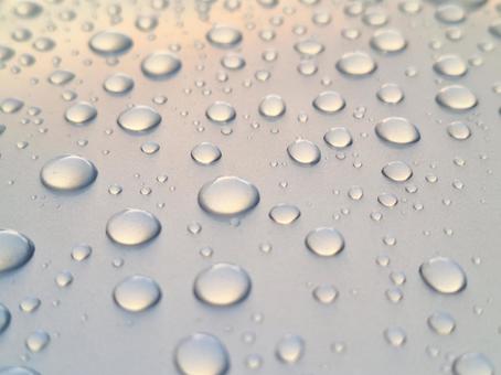 ワックスで弾かれた水滴 ワックスで弾かれた水滴の写真