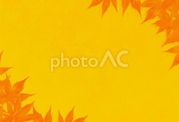 黄色とオレンジ色の和紙と紅葉の背景 背景,秋,黄色の写真素材