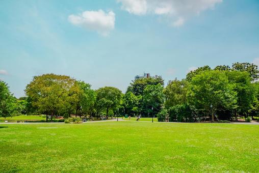 【シンガポール】植物園オーキッドガーデン シンガポール,singapore,ナショナルの写真素材